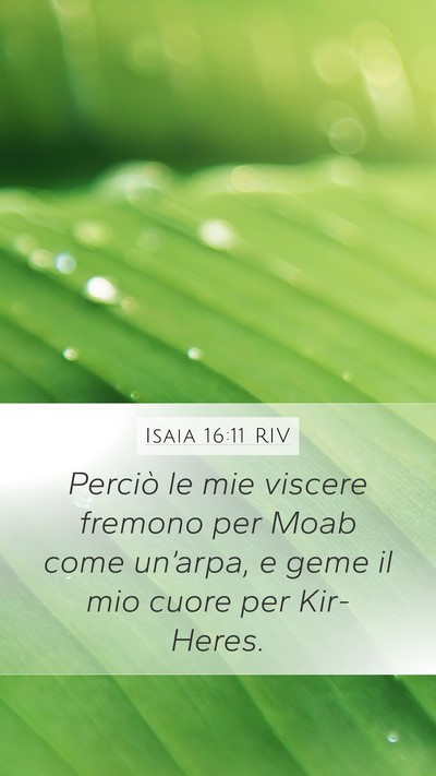 Isaia 16:11 RIV Bible Verse Image