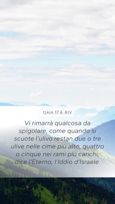 Isaia 17:6 RIV Bible Verse Image