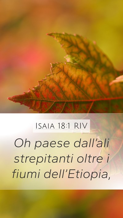 Isaia 18:1 RIV Mobile Phone Wallpaper - Oh paese dall’ali strepitanti oltre i fiumi - Mobile Bible Verse Wallpaper