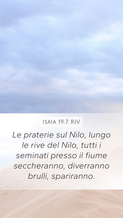 Isaia 19:7 RIV Mobile Phone Wallpaper - Le praterie sul Nilo, lungo le rive del Nilo, - Mobile Bible Verse Wallpaper