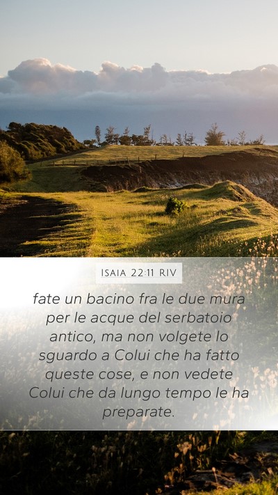 Isaia 22:11 RIV Mobile Phone Wallpaper - fate un bacino fra le due mura per le acque del - Mobile Bible Verse Wallpaper