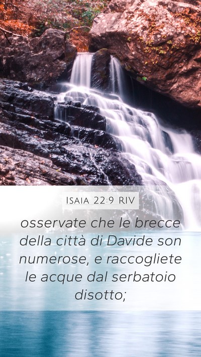 Isaia 22:9 RIV Mobile Phone Wallpaper - osservate che le brecce della città di Davide - Mobile Bible Verse Wallpaper