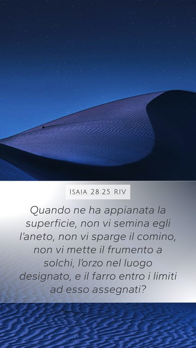 Isaia 28:25 RIV Mobile Phone Wallpaper - Quando ne ha appianata la superficie, non vi - Mobile Bible Verse Wallpaper
