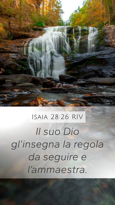 Isaia 28:26 RIV Bible Verse Image