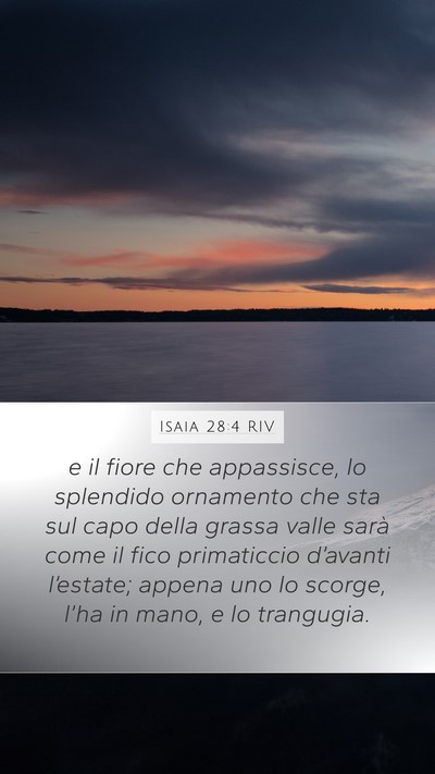Isaia 28:4 RIV Bible Verse Image