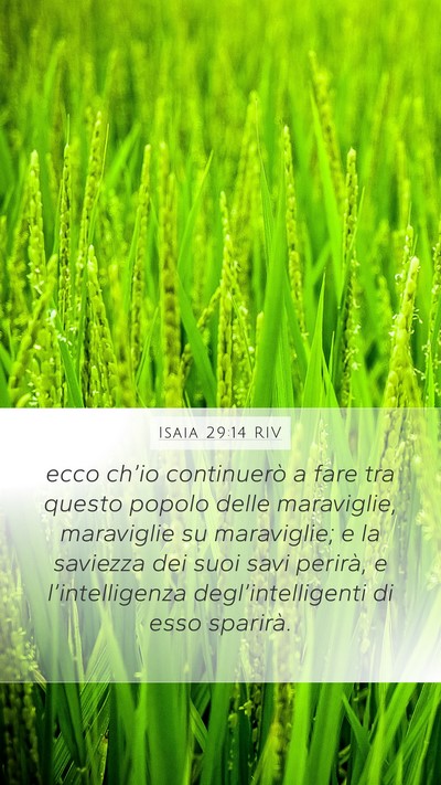 Isaia 29:14 RIV Bible Verse Image