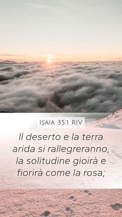 Isaia 35:1 RIV Mobile Phone Wallpaper - Il deserto e la terra arida si rallegreranno, la - Mobile Bible Verse Wallpaper