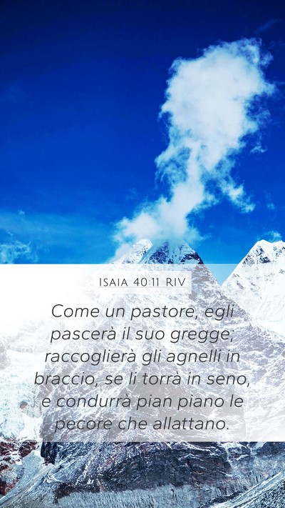 Isaia 40:11 RIV Bible Verse Image