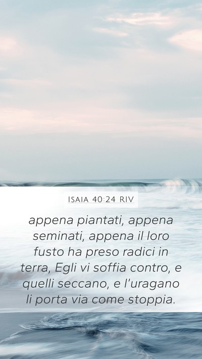 Isaia 40:24 RIV Bible Verse Image