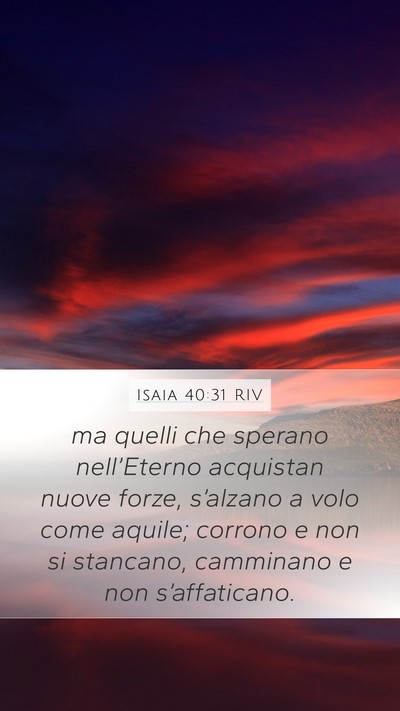 Isaia 40:31 RIV Bible Verse Image
