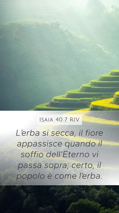 Isaia 40:7 RIV Bible Verse Image