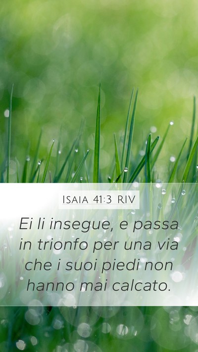 Isaia 41:3 RIV Mobile Phone Wallpaper - Ei li insegue, e passa in trionfo per una via che - Mobile Bible Verse Wallpaper