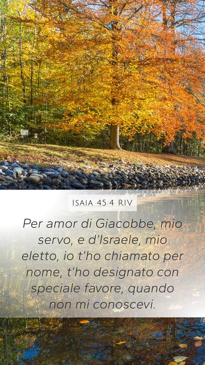 Isaia 45:4 RIV Bible Verse Image