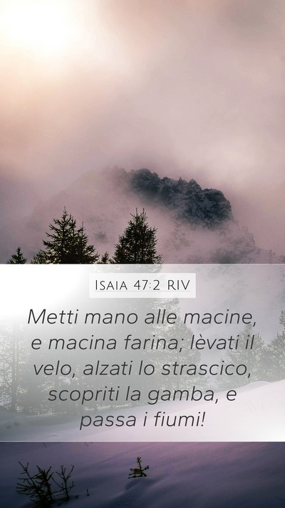 Isaia 47:2 RIV Bible Verse Image