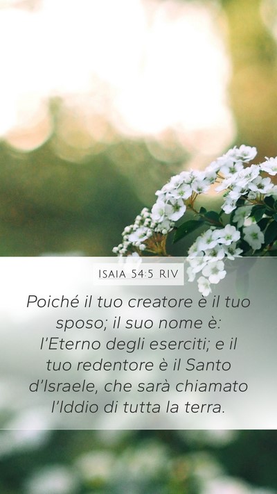 Isaia 54:5 RIV Bible Verse Image