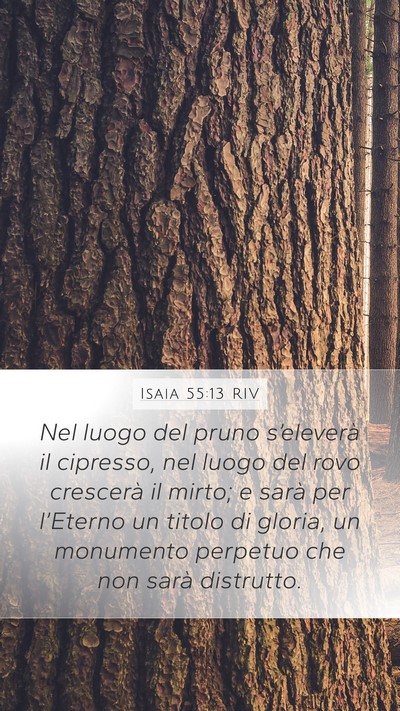 Isaia 55:13 RIV Bible Verse Image