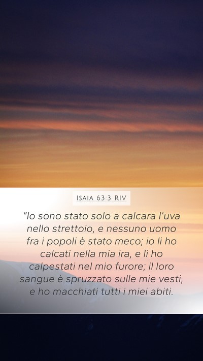 Isaia 63:3 RIV Bible Verse Image