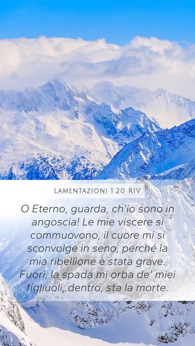 Lamentazioni 1:20 RIV Bible Verse Image