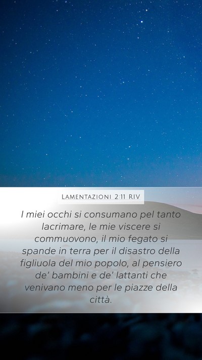 Lamentazioni 2:11 RIV Bible Verse Image