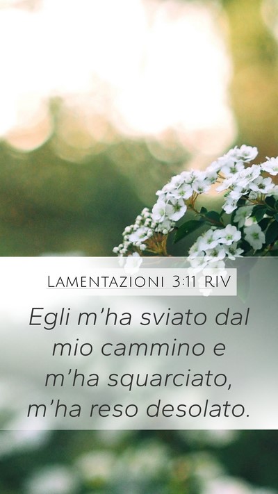 Lamentazioni 3:11 RIV Mobile Phone Wallpaper - Egli m’ha sviato dal mio cammino e m’ha - Mobile Bible Verse Wallpaper
