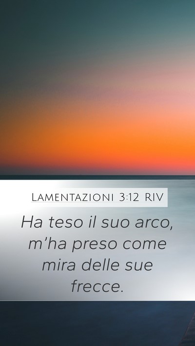 Lamentazioni 3:12 RIV Bible Verse Image