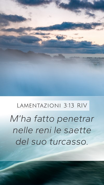 Lamentazioni 3:13 RIV Bible Verse Image