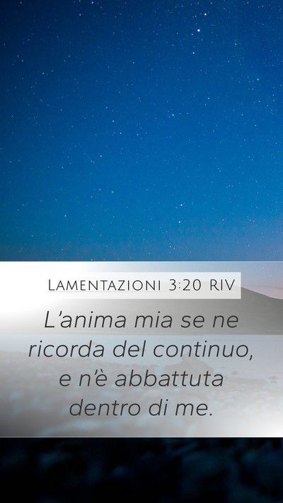 Lamentazioni 3:20 RIV Bible Verse Image