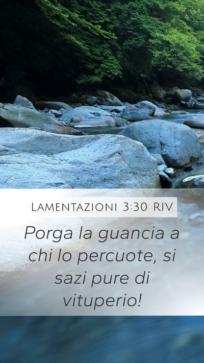 Lamentazioni 3:30 RIV Bible Verse Image