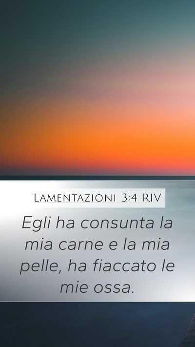 Lamentazioni 3:4 RIV Bible Verse Image