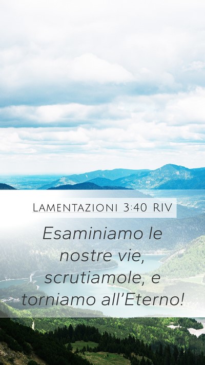 Lamentazioni 3:40 RIV Bible Verse Image