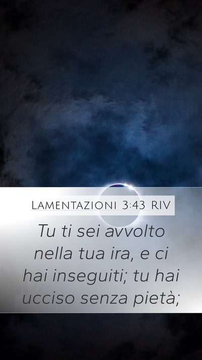 Lamentazioni 3:43 RIV Bible Verse Image