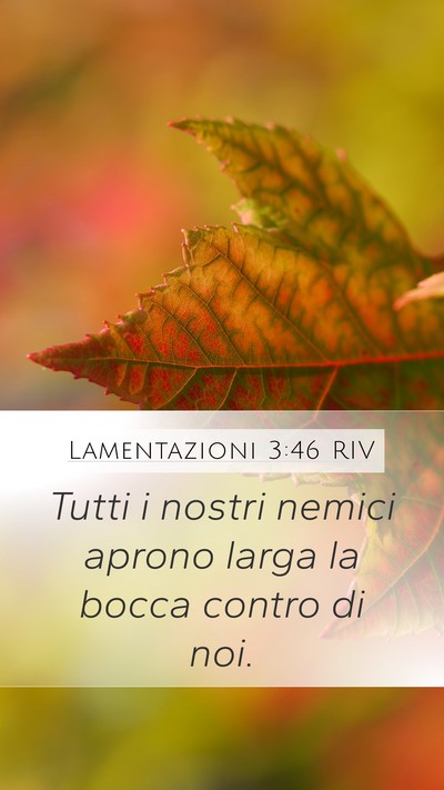 Lamentazioni 3:46 RIV Bible Verse Image