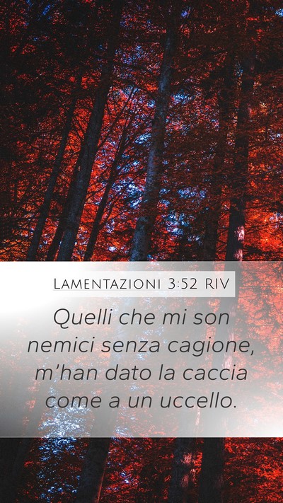 Lamentazioni 3:52 RIV Bible Verse Image