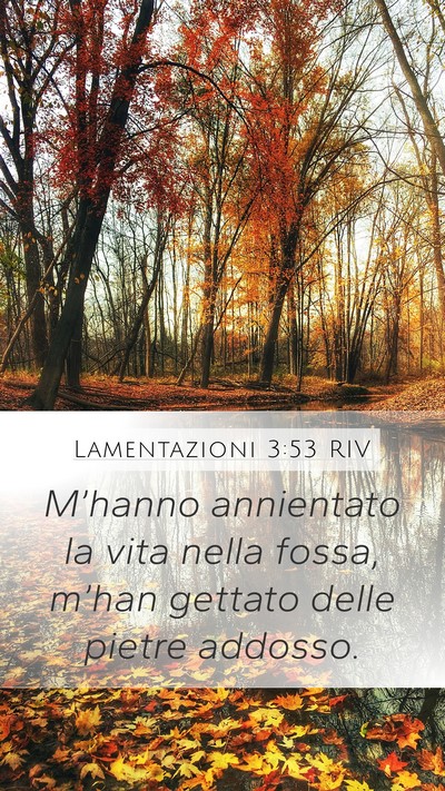 Lamentazioni 3:53 RIV Bible Verse Image