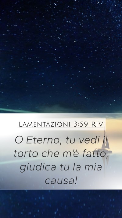 Lamentazioni 3:59 RIV Bible Verse Image
