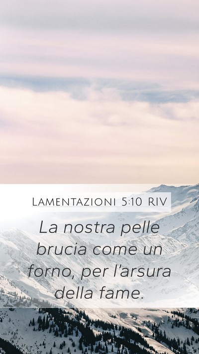 Lamentazioni 5:10 RIV Bible Verse Image