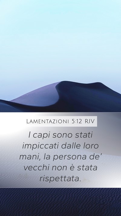Lamentazioni 5:12 RIV Bible Verse Image