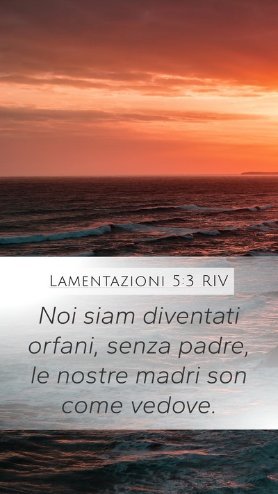 Lamentazioni 5:3 RIV Bible Verse Image