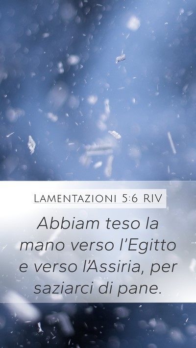 Lamentazioni 5:6 RIV Bible Verse Image