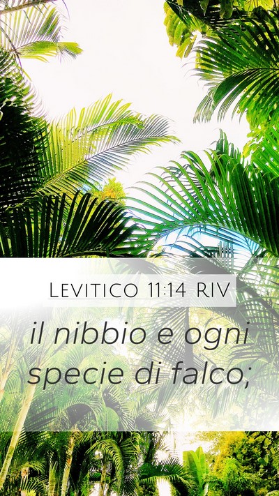 Levitico 11:14 RIV Mobile Phone Wallpaper - il nibbio e ogni specie di - Mobile Bible Verse Wallpaper