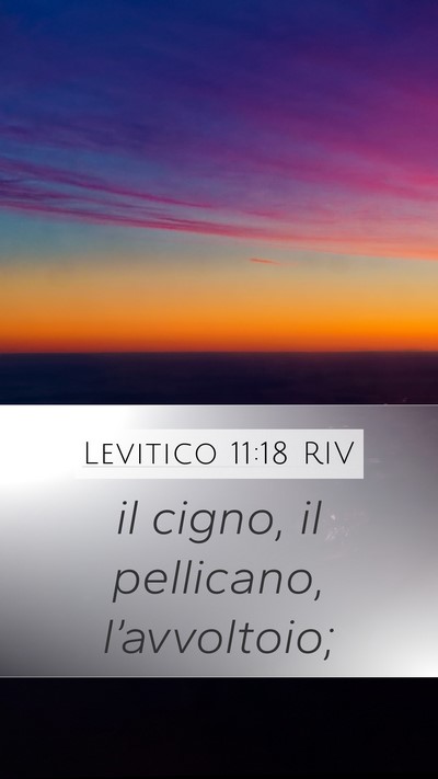 Levitico 11:18 RIV Mobile Phone Wallpaper - il cigno, il pellicano, - Mobile Bible Verse Wallpaper