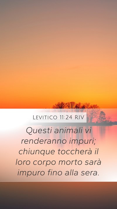 Levitico 11:24 RIV Bible Verse Image