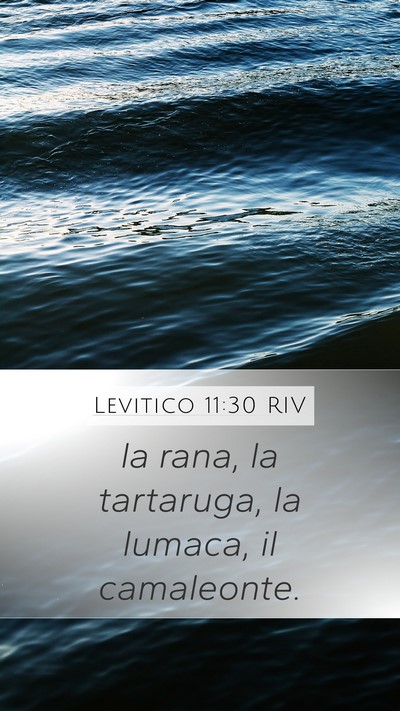 Levitico 11:30 RIV Mobile Phone Wallpaper - la rana, la tartaruga, la lumaca, il - Mobile Bible Verse Wallpaper
