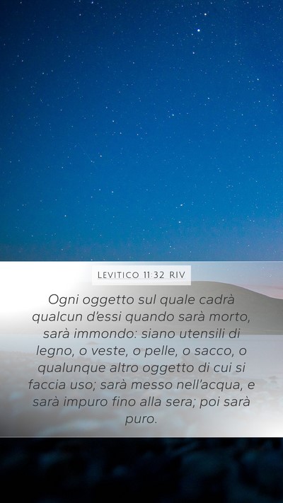 Levitico 11:32 RIV Bible Verse Image