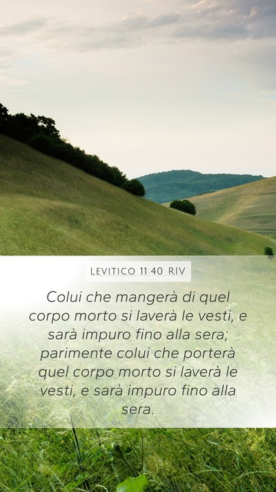 Levitico 11:40 RIV Bible Verse Image