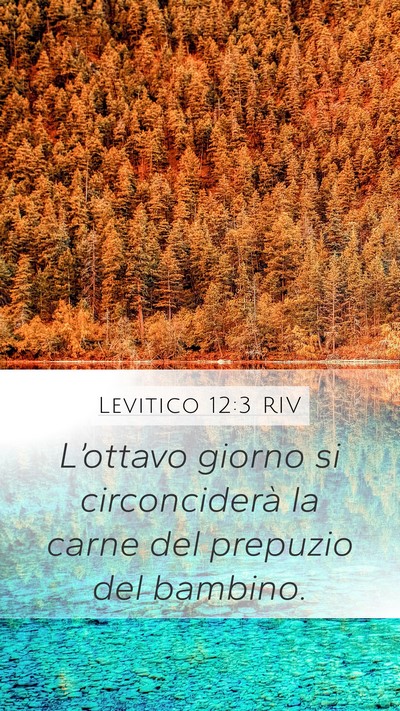 Levitico 12:3 RIV Bible Verse Image