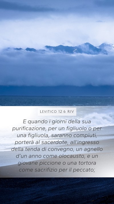 Levitico 12:6 RIV Bible Verse Image