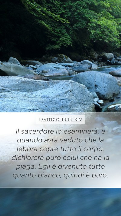 Levitico 13:13 RIV Mobile Phone Wallpaper - il sacerdote lo esaminerà; e quando avrà veduto - Mobile Bible Verse Wallpaper