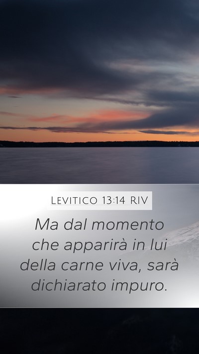 Levitico 13:14 RIV Bible Verse Image