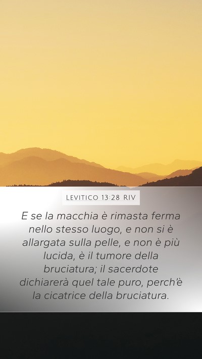 Levitico 13:28 RIV Mobile Phone Wallpaper - E se la macchia è rimasta ferma nello stesso - Mobile Bible Verse Wallpaper